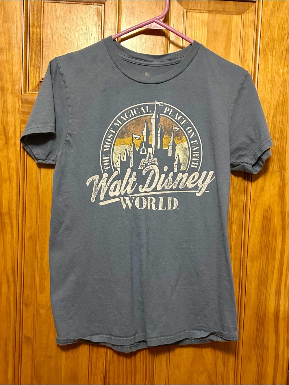 Disney Men's Graphic Tee - Slate Gray with Cream & Gold Print